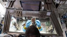 Astronaut looking at scientific paraphernalia